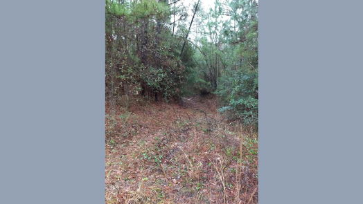 Plantersville 1-story, 1-bed 15522 Fm 1774-idx