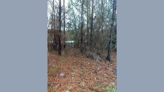 Plantersville 1-story, 1-bed 15522 Fm 1774-idx