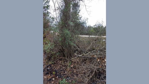 Plantersville 1-story, 1-bed 15522 Fm 1774-idx