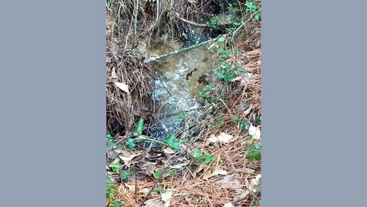 Plantersville 1-story, 1-bed 15522 Fm 1774-idx