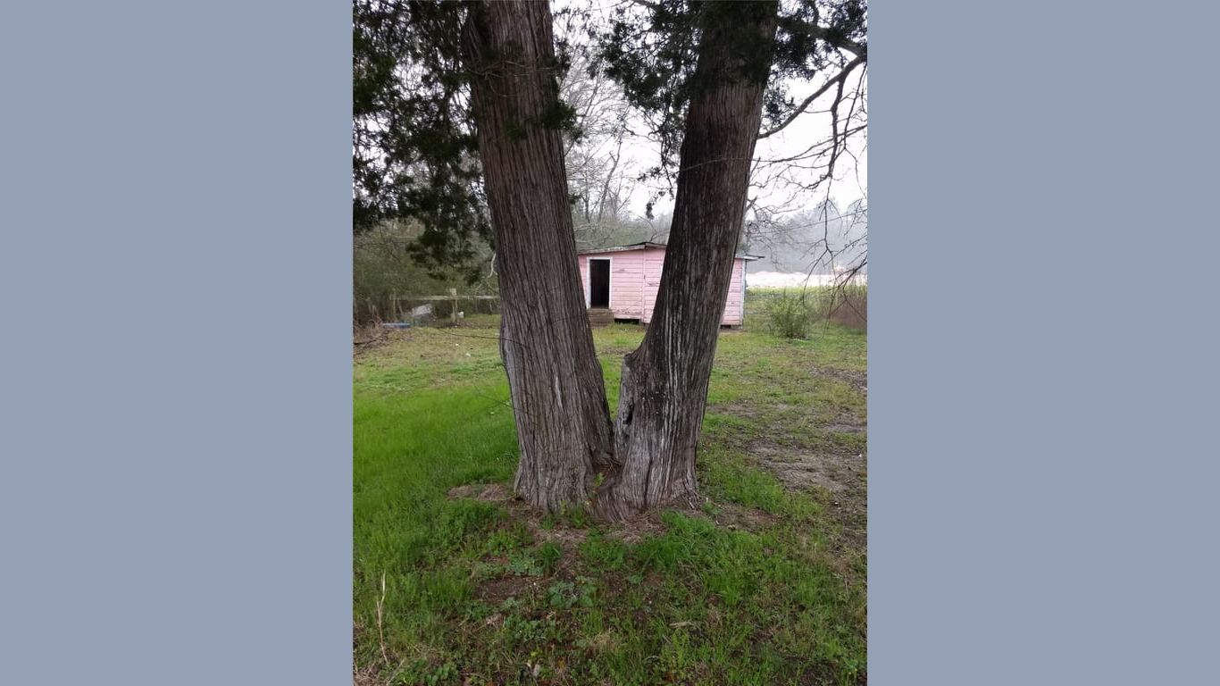 Plantersville 1-story, 1-bed 15522 Fm 1774-idx