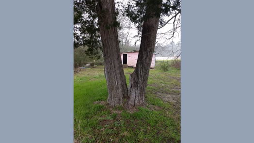 Plantersville 1-story, 1-bed 15522 Fm 1774-idx