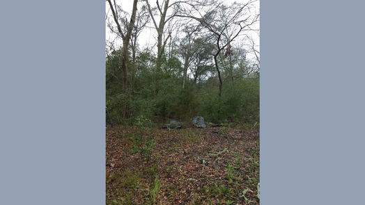 Plantersville 1-story, 1-bed 15522 Fm 1774-idx