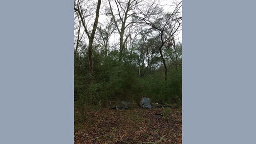 Plantersville 1-story, 1-bed 15522 Fm 1774-idx