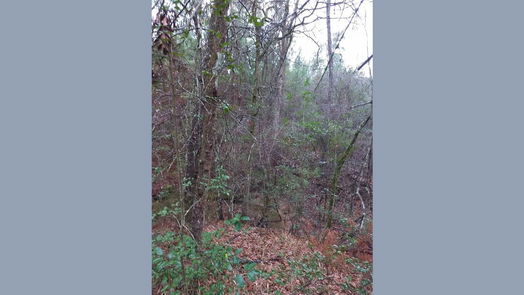 Plantersville 1-story, 1-bed 15522 Fm 1774-idx