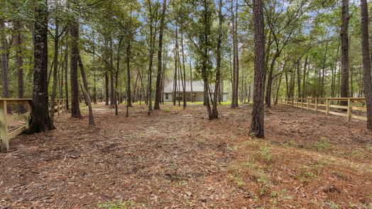 Plantersville 1-story, 4-bed 11193 Wildwood Lane-idx