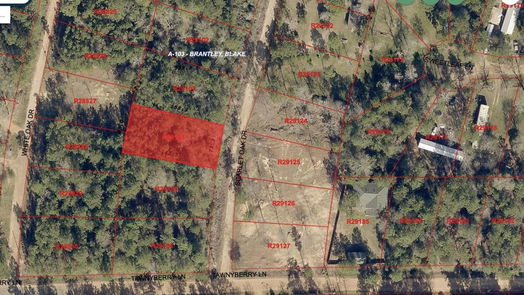 Plantersville null-story, null-bed LOT 39 Scarlet Oak Drive-idx