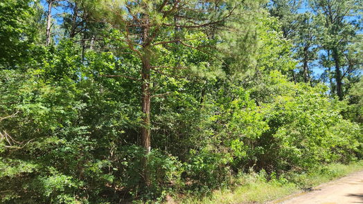 Plantersville null-story, null-bed Lot 2 Live Oak Drive-idx