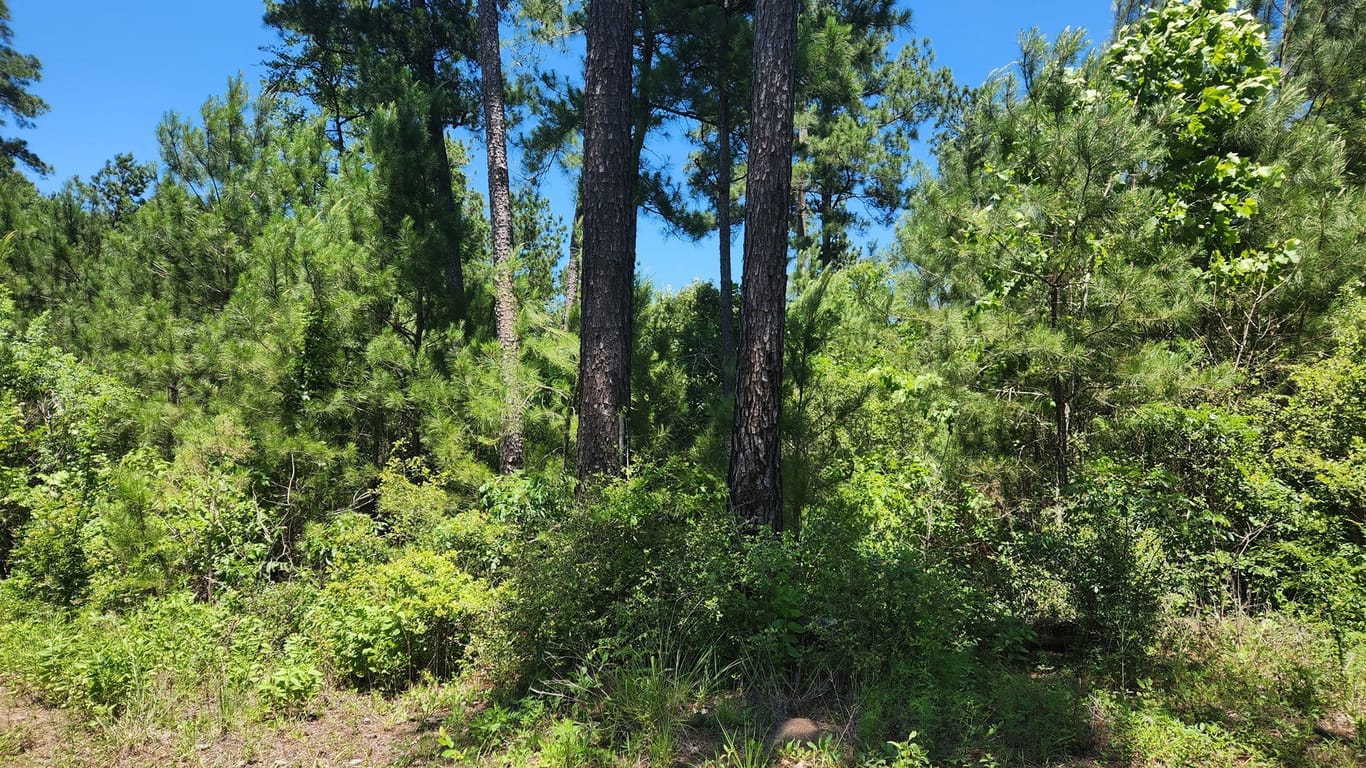 Plantersville null-story, null-bed Lot 18 Mulberry Drive-idx