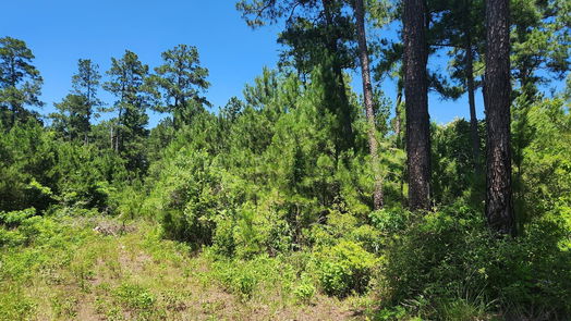 Plantersville null-story, null-bed Lot 18 Mulberry Drive-idx