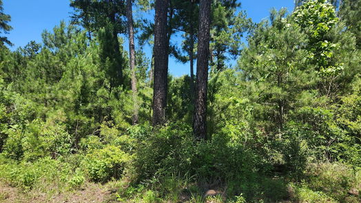 Plantersville null-story, null-bed Lot 11 Cherry Tree Lane-idx