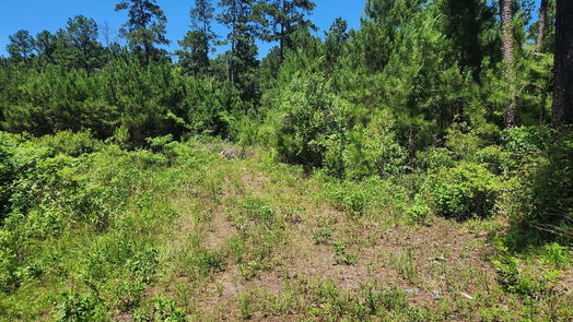 Plantersville null-story, null-bed Lot 11 Cherry Tree Lane-idx