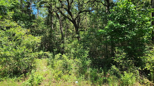 Plantersville null-story, null-bed Lot 11 Cherry Tree Lane-idx