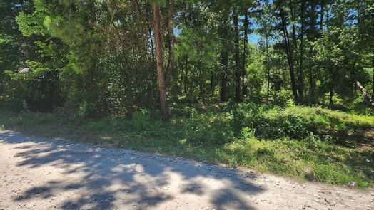 Plantersville null-story, null-bed Lot 30 Mossyknoll Drive-idx