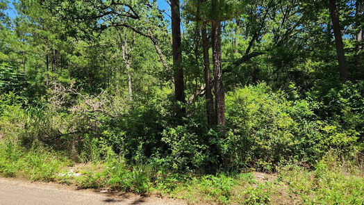 Plantersville null-story, null-bed Lot 69 Pinebrook Drive-idx