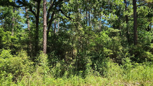 Plantersville null-story, null-bed Lot 69 Pinebrook Drive-idx