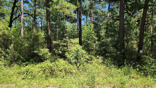 Plantersville null-story, null-bed Lot 69 Pinebrook Drive-idx