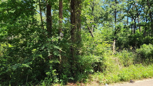 Plantersville null-story, null-bed Lot 73 Pinebrook Drive-idx