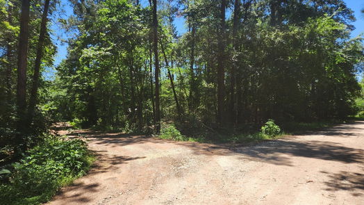 Plantersville null-story, null-bed Lot 1 Pineknoll Drive-idx