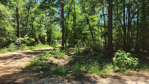 Plantersville null-story, null-bed Lot 1 Pineknoll Drive-idx