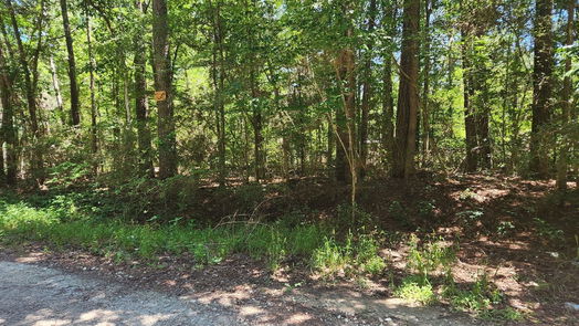 Plantersville null-story, null-bed Lot 1 Pineknoll Drive-idx