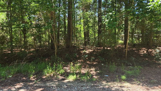 Plantersville null-story, null-bed Lot 1 Pineknoll Drive-idx