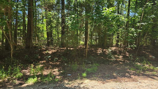 Plantersville null-story, null-bed Lot 1 Pineknoll Drive-idx