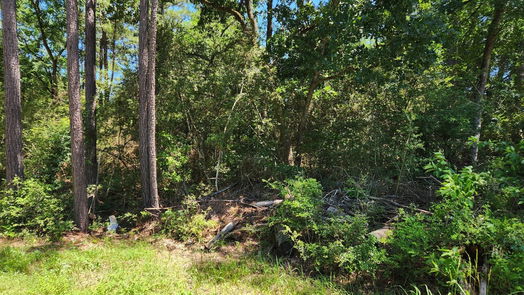 Plantersville null-story, null-bed Lot 1 Coral Bean Lane-idx