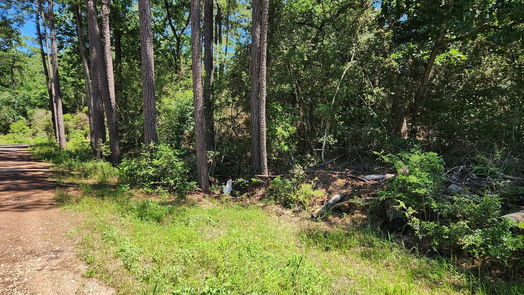 Plantersville null-story, null-bed Lot 1 Coral Bean Lane-idx