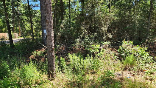 Plantersville null-story, null-bed Lot 1 Coral Bean Lane-idx