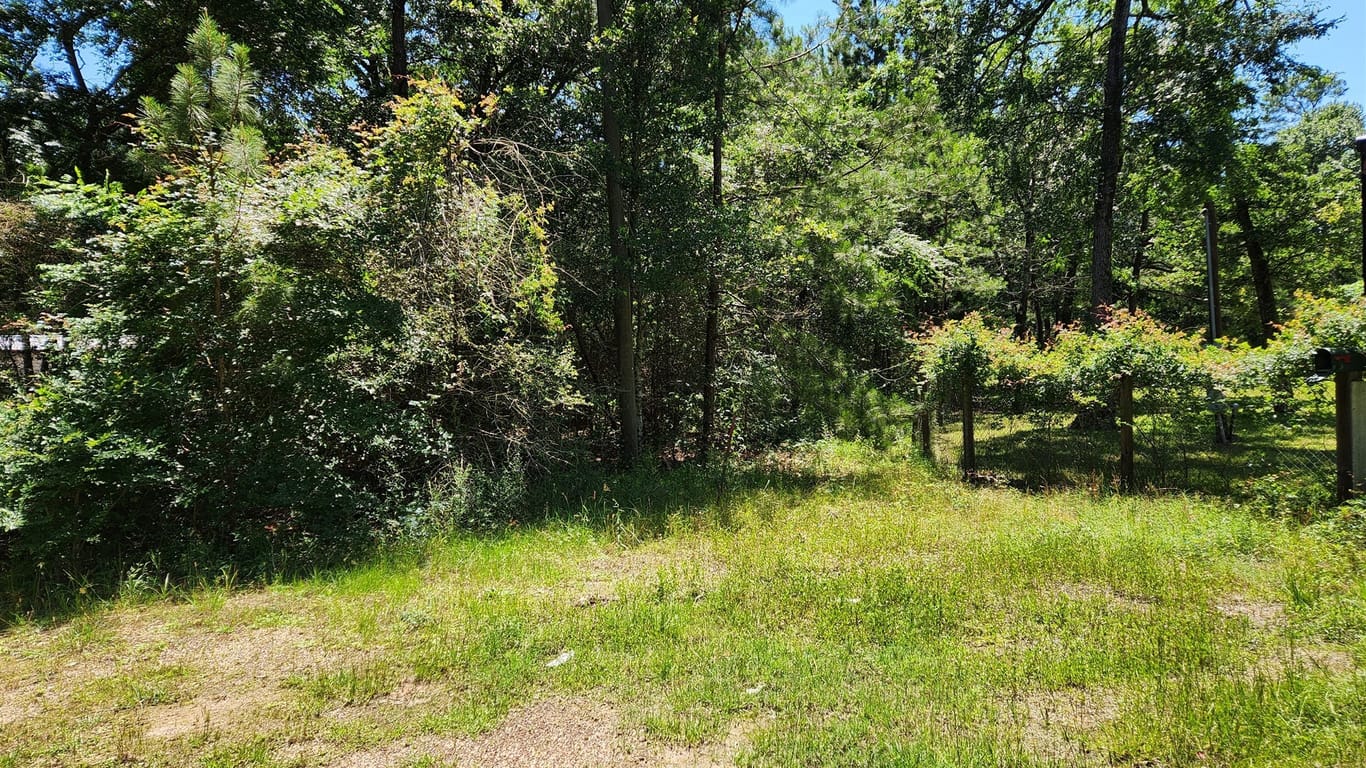 Plantersville null-story, null-bed Lot 10 Sweetleaf Lane-idx