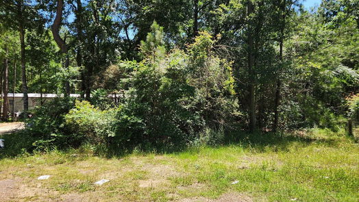 Plantersville null-story, null-bed Lot 10 Sweetleaf Lane-idx