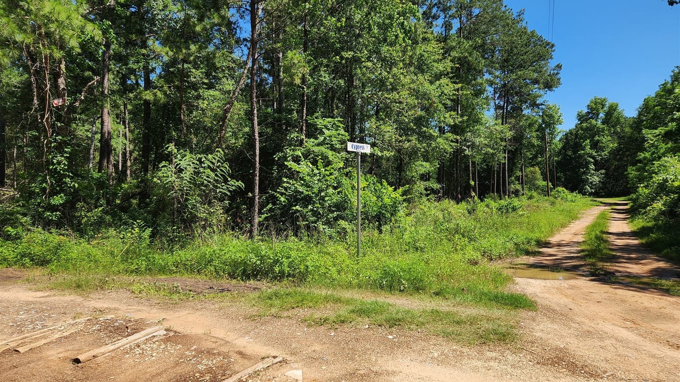 Plantersville null-story, null-bed Lot 10 Cypress Court-idx