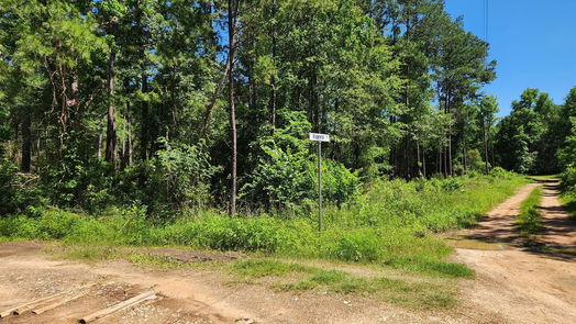 Plantersville null-story, null-bed Lot 10 Cypress Court-idx