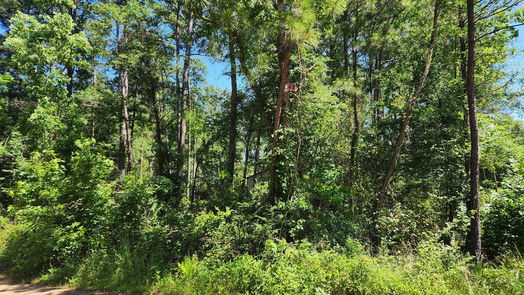 Plantersville null-story, null-bed Lot 10 Cypress Court-idx