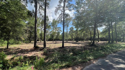 Plantersville null-story, null-bed TBD Lot 3 Deerwood Drive-idx