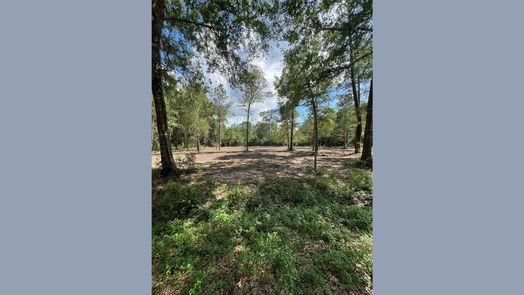 Plantersville null-story, null-bed TBD Lot 3 Deerwood Drive-idx