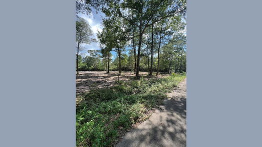 Plantersville null-story, null-bed TBD Lot 3 Deerwood Drive-idx