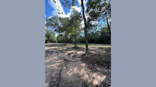 Plantersville null-story, null-bed TBD Lot 2 Deerwood Drive-idx