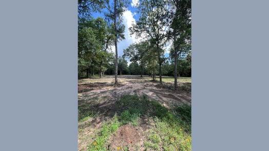 Plantersville null-story, null-bed TBD Lot 2 Deerwood Drive-idx