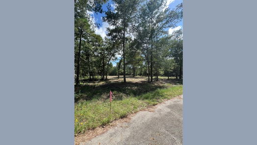 Plantersville null-story, null-bed TBD Lot 2 Deerwood Drive-idx