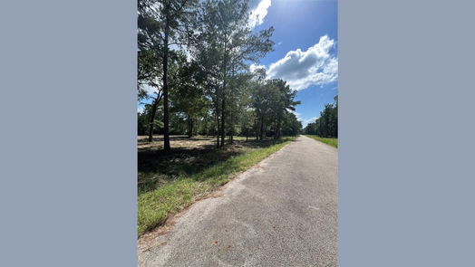 Plantersville null-story, null-bed TBD Lot 2 Deerwood Drive-idx