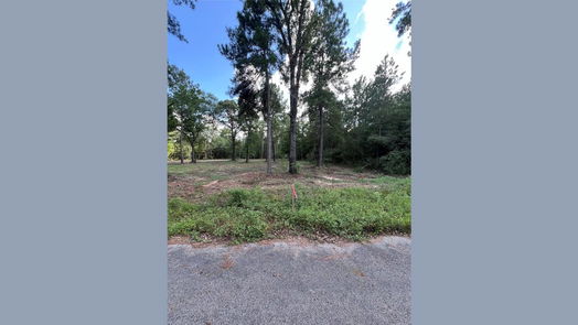 Plantersville null-story, null-bed TBD Lot 2 Deerwood Drive-idx