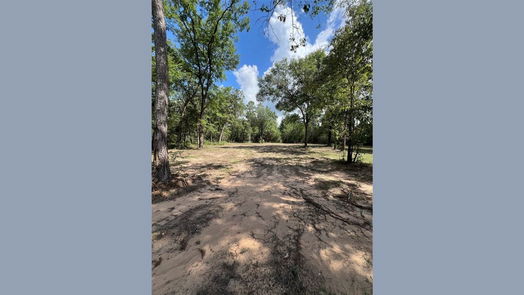 Plantersville null-story, null-bed TBD Lot 2 Deerwood Drive-idx