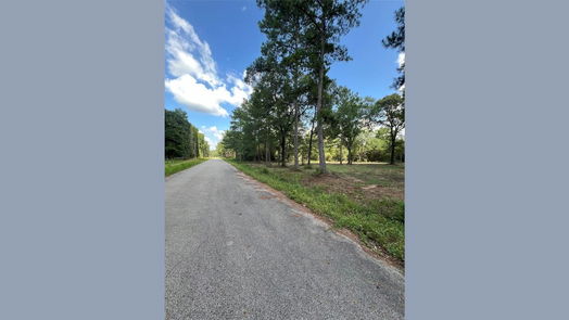 Plantersville null-story, null-bed TBD Lot 2 Deerwood Drive-idx