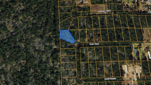 Plantersville null-story, null-bed Lot 28 Gum Tree Lane-idx