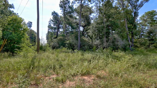 Plantersville null-story, null-bed Lot on Hwy249 & lot 3 & 6 Hwy 249 and Tawnyberry Lane-idx