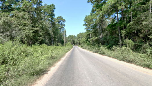 Plantersville null-story, null-bed Lot on Hwy249 & lot 3 & 6 Hwy 249 and Tawnyberry Lane-idx