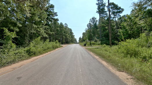 Plantersville null-story, null-bed Lot on Hwy249 & lot 3 & 6 Hwy 249 and Tawnyberry Lane-idx