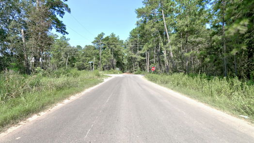 Plantersville null-story, null-bed Lot on Hwy249 & lot 3 & 6 Hwy 249 and Tawnyberry Lane-idx